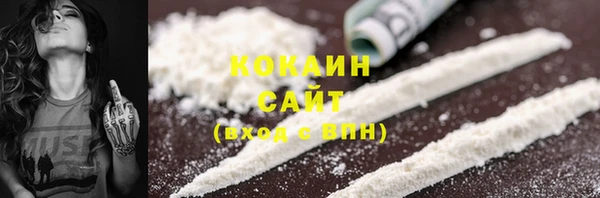 индика Беломорск