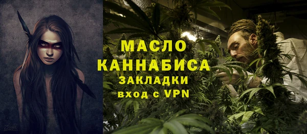 индика Беломорск