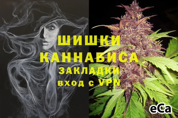 бошки Пестово