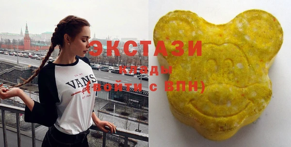 индика Беломорск