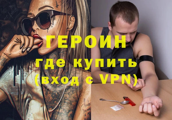 индика Беломорск