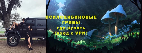 дмт Пересвет
