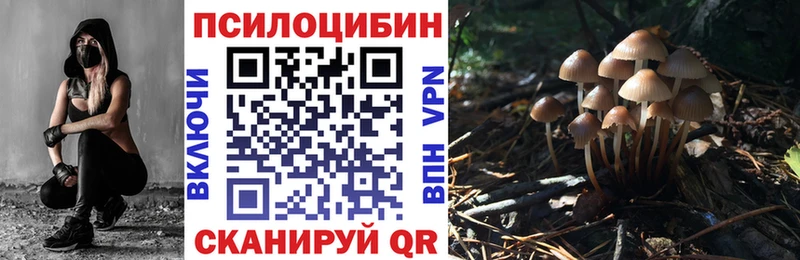 Псилоцибиновые грибы прущие грибы Красноуфимск